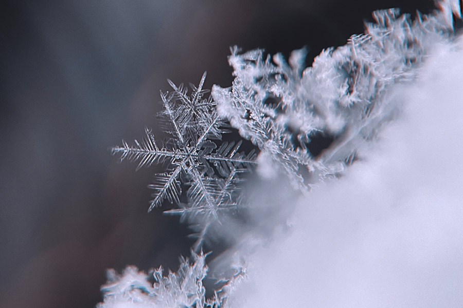 The magic of snowflakes…and the science behind them!