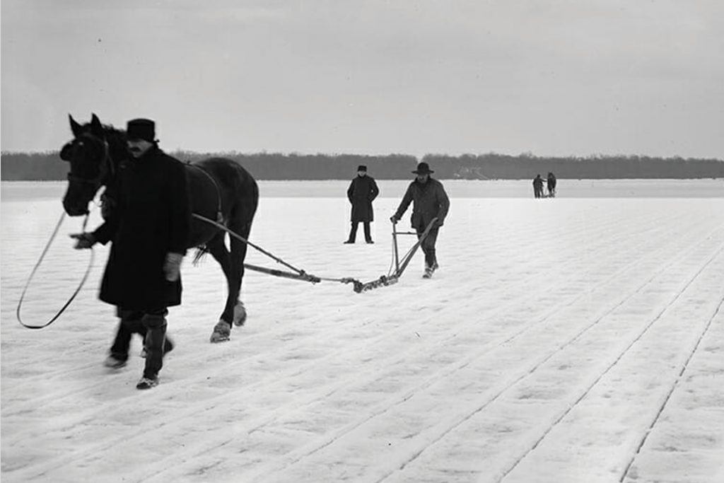 A Frozen Era: Cootes Paradise Has An Icy History