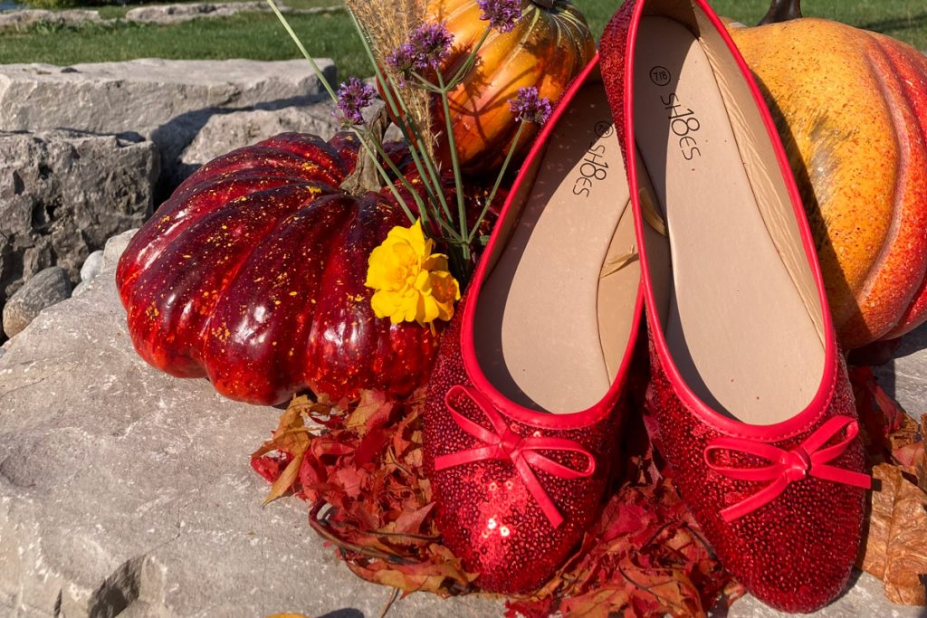 There is No Place like Home…Falling for Burlington Downtown is Back! bdba